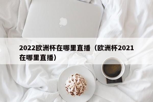 2022欧洲杯在哪里直播（欧洲杯2021在哪里直播）