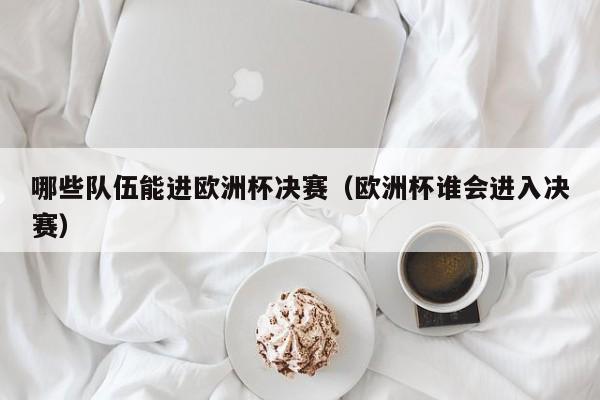 哪些队伍能进欧洲杯决赛（欧洲杯谁会进入决赛）