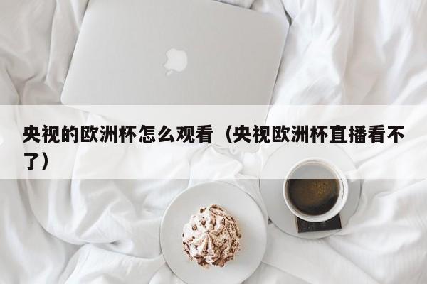 央视的欧洲杯怎么观看（央视欧洲杯直播看不了）