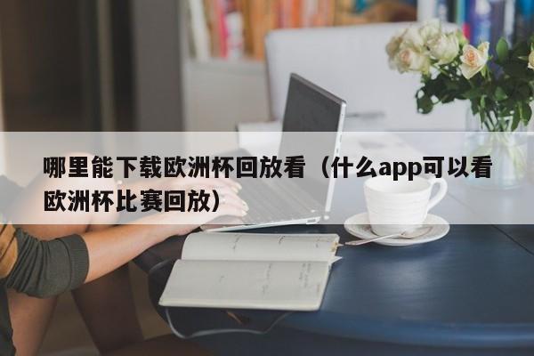 哪里能下载欧洲杯回放看（什么app可以看欧洲杯比赛回放）