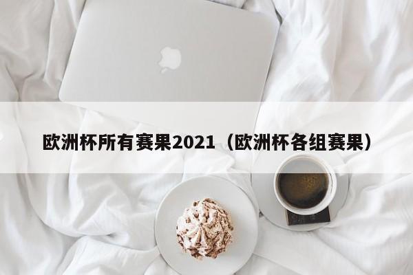 欧洲杯所有赛果2021（欧洲杯各组赛果）