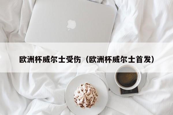 欧洲杯威尔士受伤（欧洲杯威尔士首发）