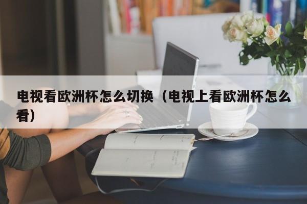 电视看欧洲杯怎么切换（电视上看欧洲杯怎么看）