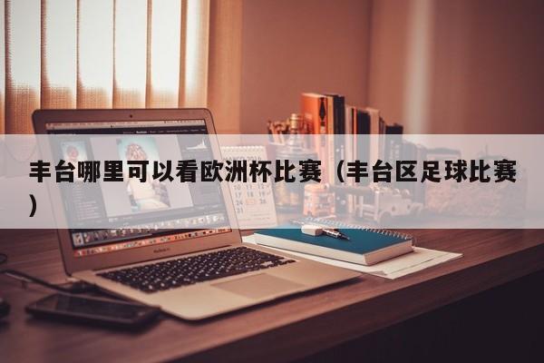 丰台哪里可以看欧洲杯比赛（丰台区足球比赛）