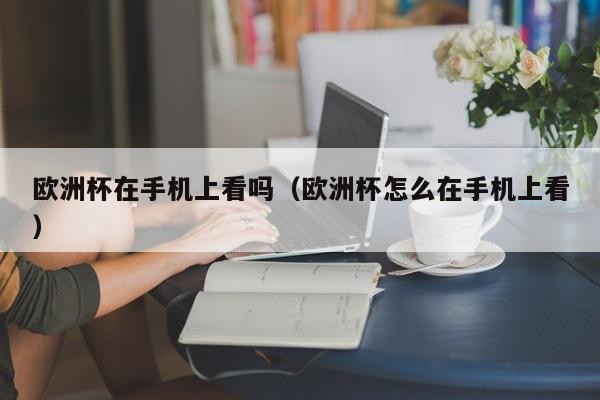 欧洲杯在手机上看吗（欧洲杯怎么在手机上看）