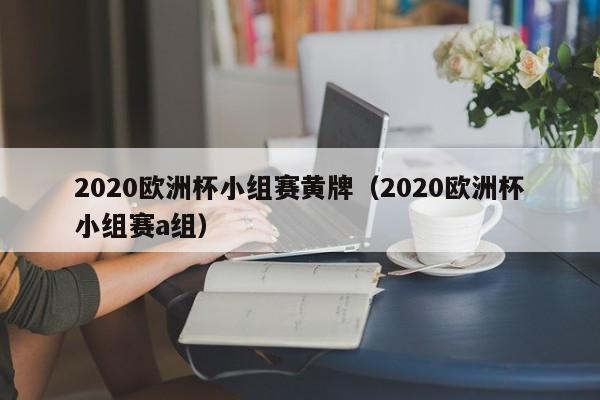 2020欧洲杯小组赛黄牌（2020欧洲杯小组赛a组）