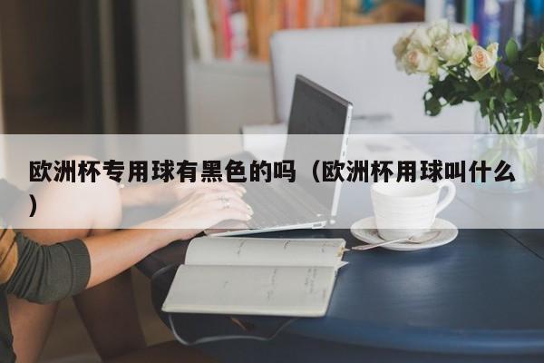 欧洲杯专用球有黑色的吗（欧洲杯用球叫什么）