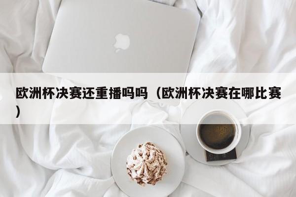 欧洲杯决赛还重播吗吗（欧洲杯决赛在哪比赛）