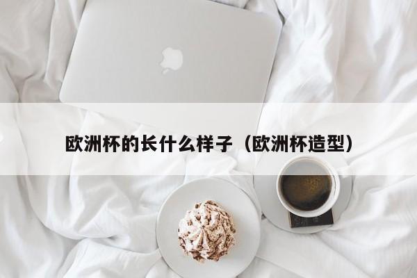 欧洲杯的长什么样子（欧洲杯造型）