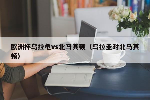 欧洲杯乌拉龟vs北马其顿（乌拉圭对北马其顿）