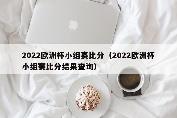 2022欧洲杯小组赛比分（2022欧洲杯小组赛比分结果查询）