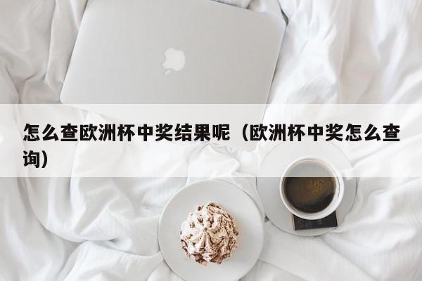 怎么查欧洲杯中奖结果呢（欧洲杯中奖怎么查询）