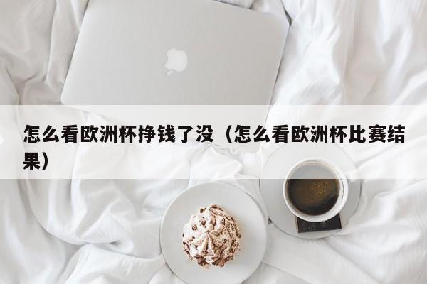 怎么看欧洲杯挣钱了没（怎么看欧洲杯比赛结果）