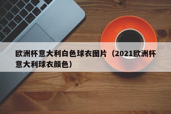 欧洲杯意大利白色球衣图片（2021欧洲杯意大利球衣颜色）