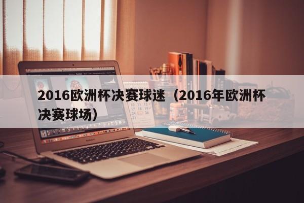 2016欧洲杯决赛球迷（2016年欧洲杯决赛球场）