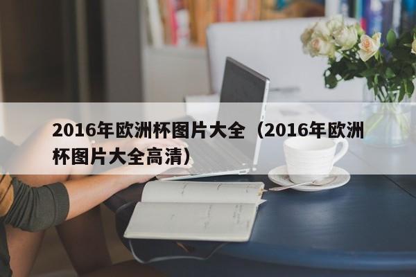 2016年欧洲杯图片大全（2016年欧洲杯图片大全高清）