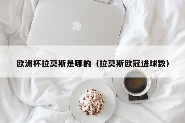 欧洲杯拉莫斯是哪的（拉莫斯欧冠进球数）