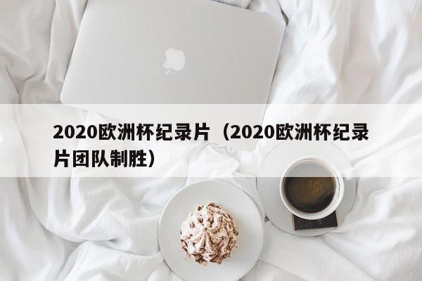 2020欧洲杯纪录片（2020欧洲杯纪录片团队制胜）